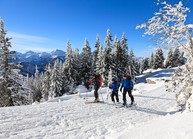 Alphörner auf dem Breitenberg