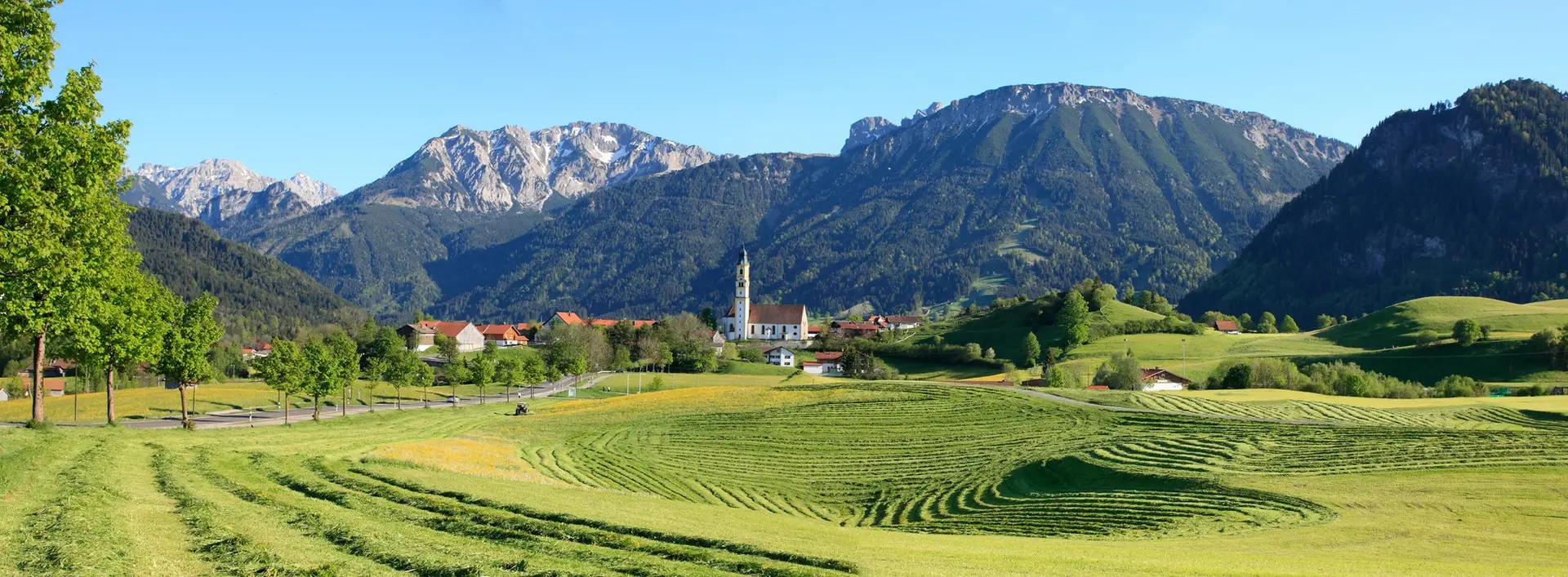 Panoramablick auf den Breitenberg in Pfronten im Allgäu