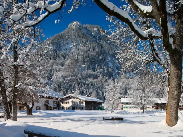 Dorfer Weiher im Allgäuer Winter Zugeschneiter Dorfer Weiher in Pfronten.