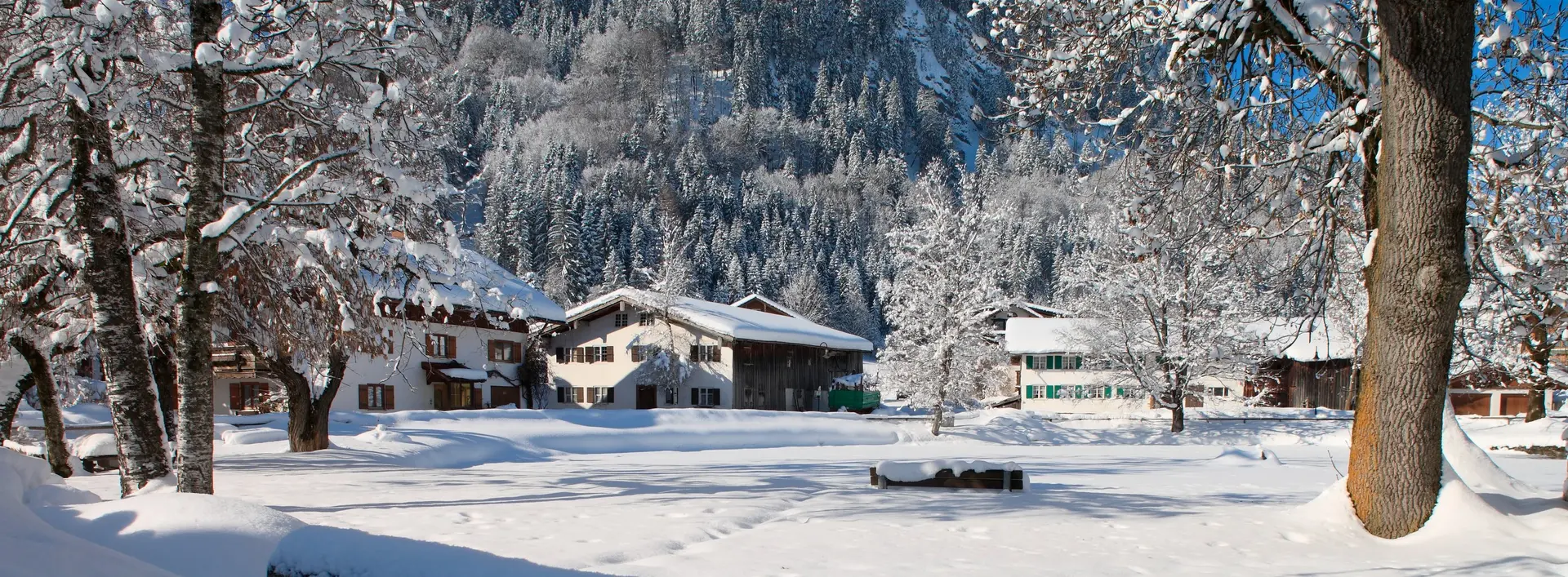 Zugeschneiter Dorfer Weiher in Pfronten.
