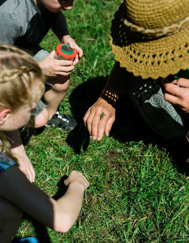 Kleine und große Naturdetektive knien auf einer grünen Wiese und beobachten einen Grashüpfer.