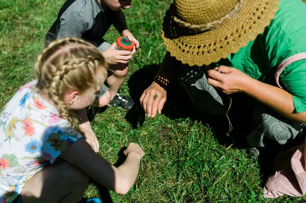 Kleine und große Naturdetektive knien auf einer grünen Wiese und beobachten einen Grashüpfer.