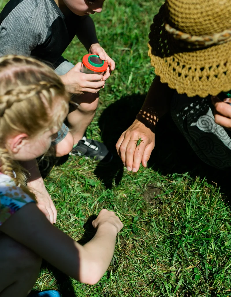 Kleine und große Naturdetektive knien auf einer grünen Wiese und beobachten einen Grashüpfer.