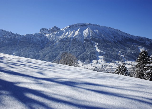 Verschneiter Breitenberg in Pfronten