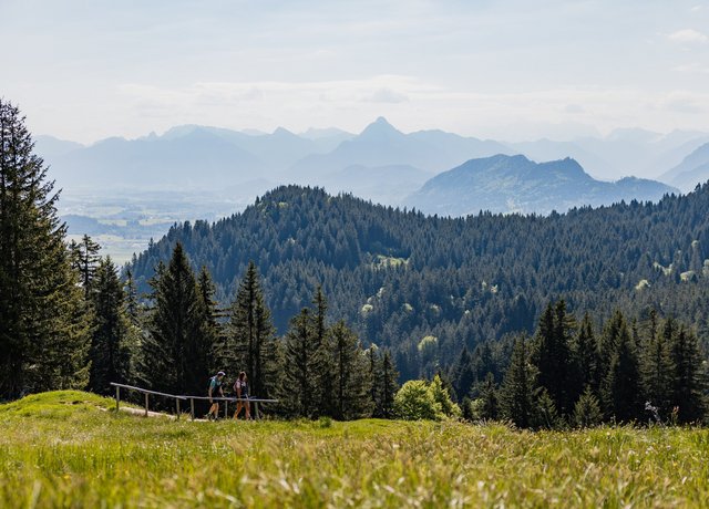 Wanderer wandern am Edelsberg