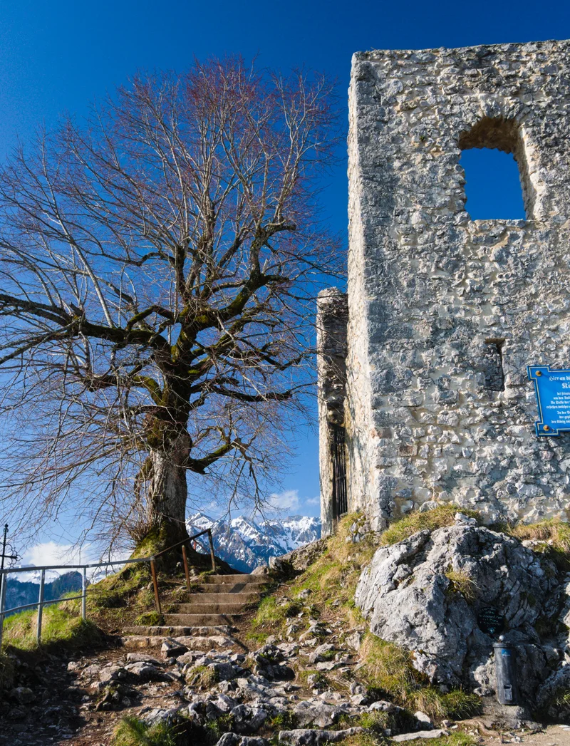 Burgruine Falkenstein