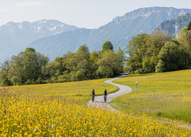 Zwei Radfahrer radeln durch das Pfrontener Tal 