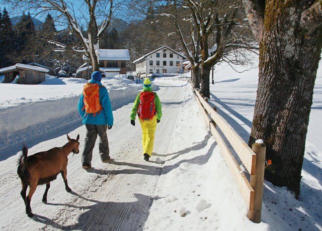 Wanderung zur Fallmühle im Schnee