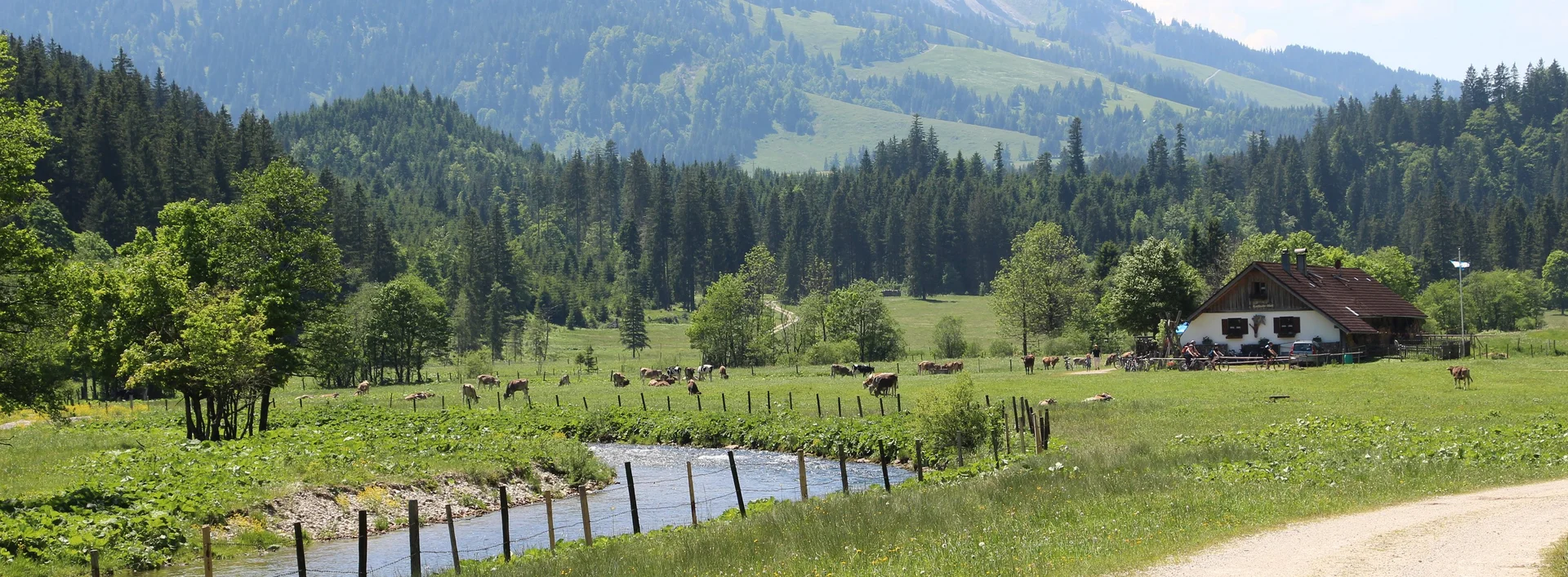 Die idyllisch im Grünen gelegene Kabelehof Alpe im Vilstal.