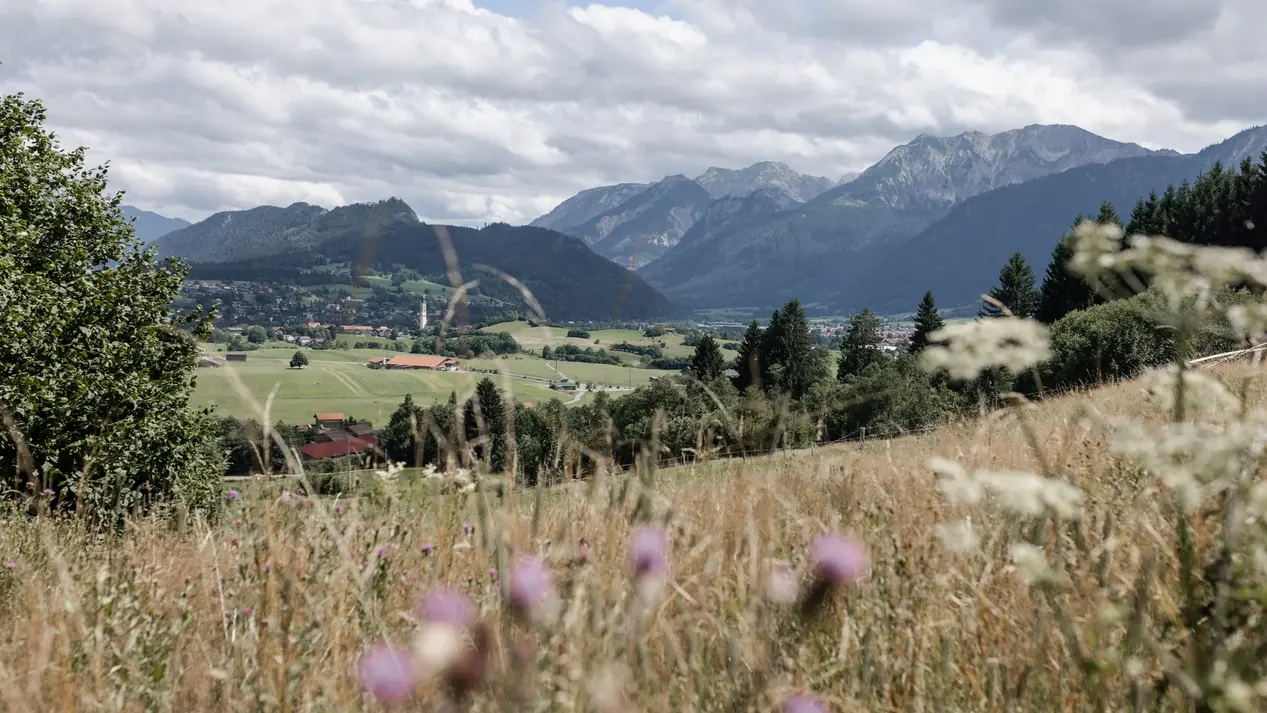 Blick über eine Wiese auf das Pfrontener Tal mit Bergen im Hintergrund.