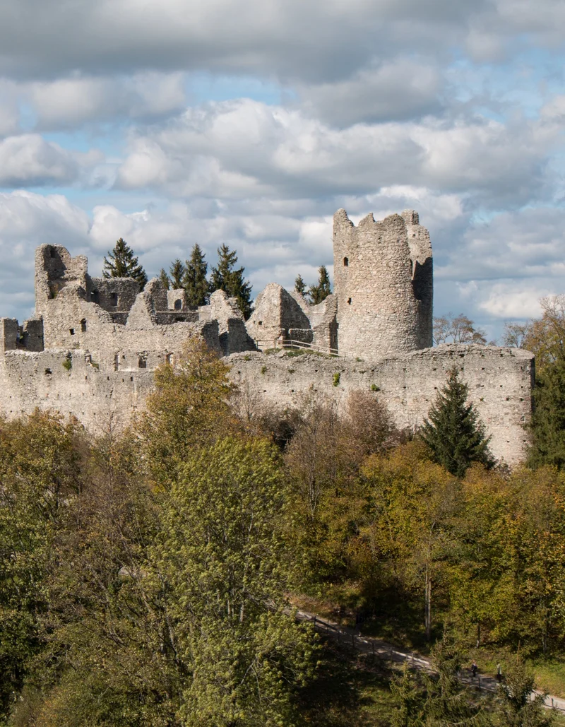 Die Burgruine Hohenfreyberg