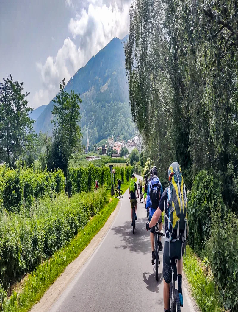 E - Bike Alpenüberquerung Pfronten - Meran Eine Gruppe Radfahrer auf einem Radweg in grüner Umgebung.