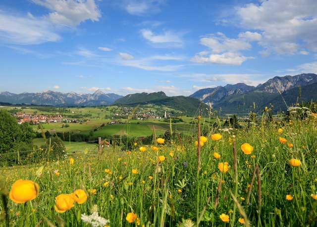 Blick auf das Pfrontener Tal vom Bergwiesenpfad 