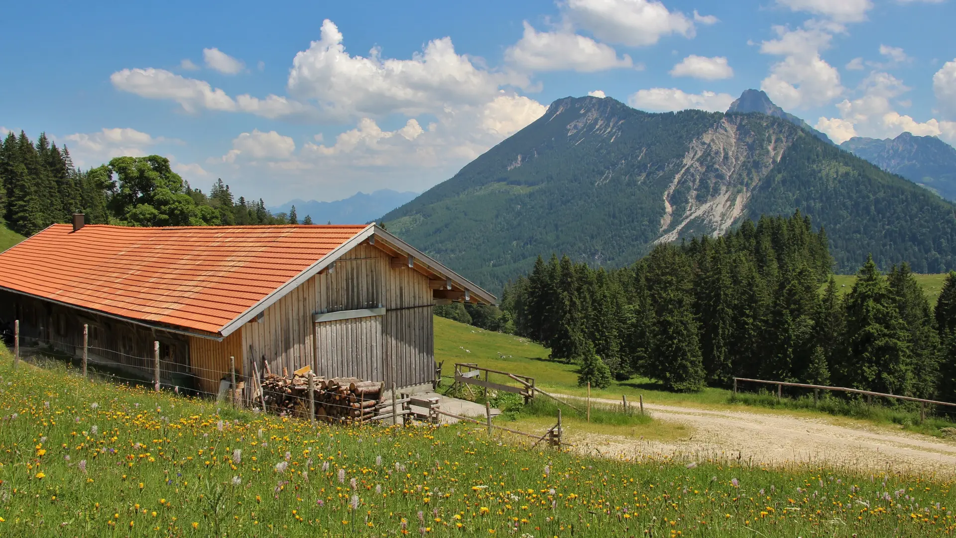 Sonniger Blick auf die Bärenmoosalpe im Allgäu, umgeben von grünen Wiesen und einer schönen Bergkulisse.