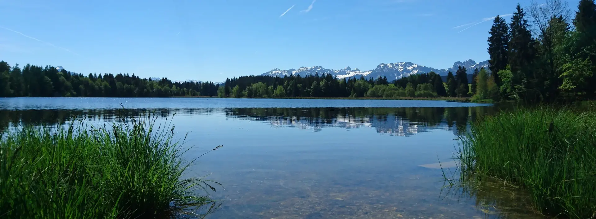 Der Schwaltenweiher: ein schöner Badesee mit herrlichem Bergpanorama. 