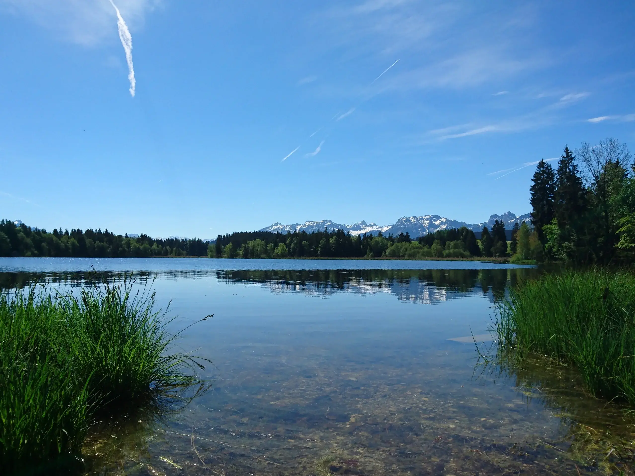 Der Schwaltenweiher: ein schöner Badesee mit herrlichem Bergpanorama. 