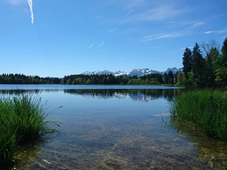 Der Schwaltenweiher: ein schöner Badesee mit herrlichem Bergpanorama. 