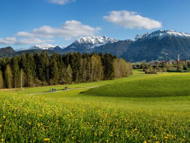 Frühlingshafter Panoramablick über die Wiesen Pfrontens mit weißen Berggipfeln.