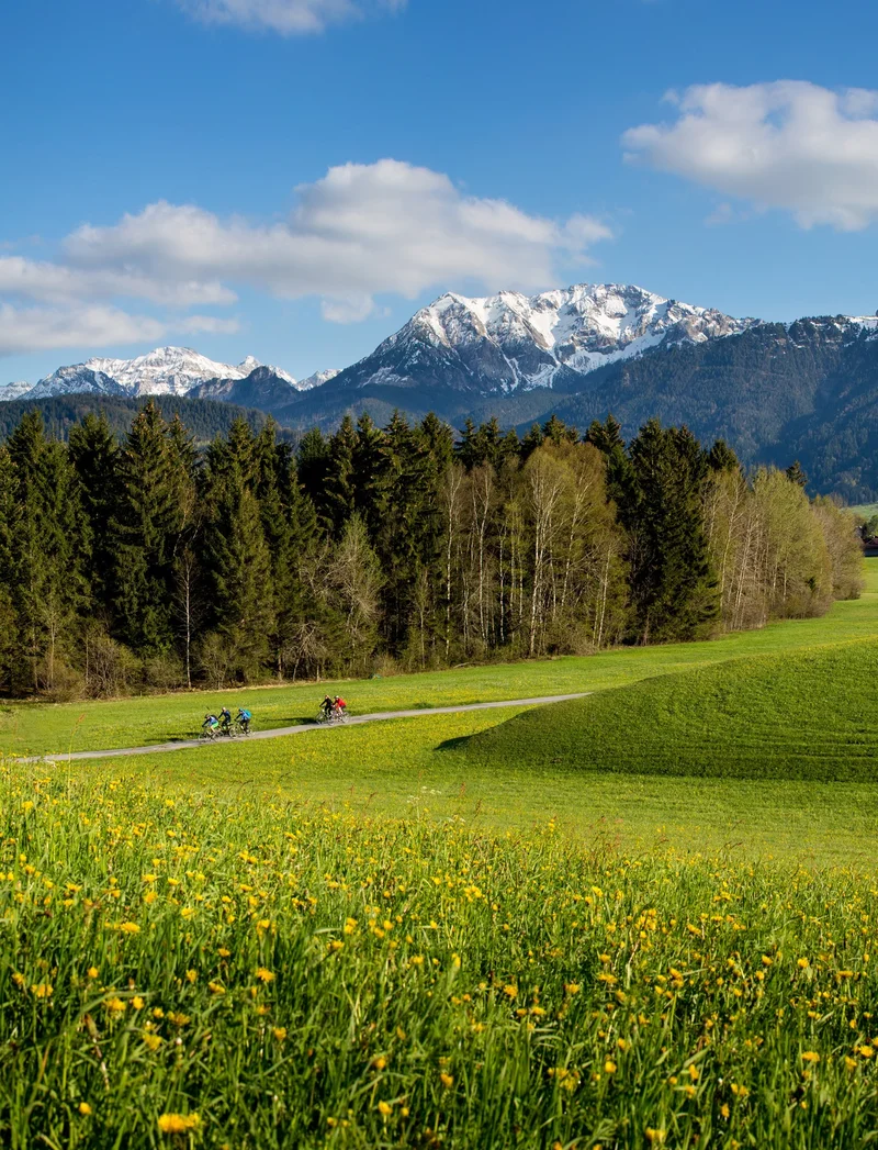 Frühlingshafter Panoramablick über die Wiesen Pfrontens mit weißen Berggipfeln.