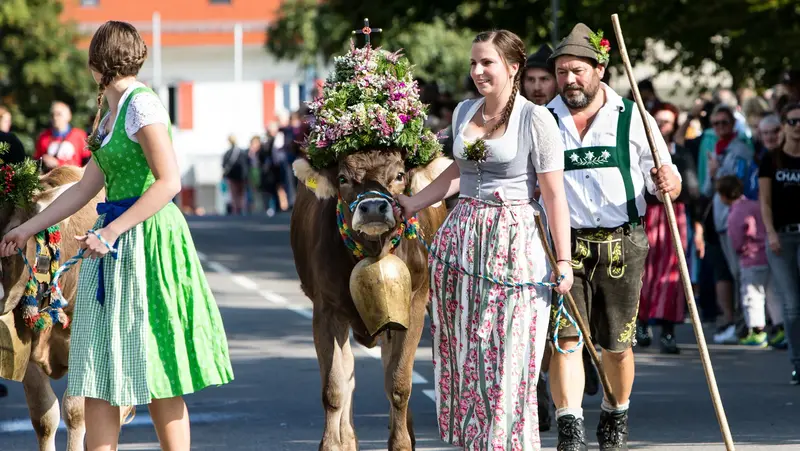 Kranzrinder bei der Viehscheid in Pfronten mit mehreren Personen.