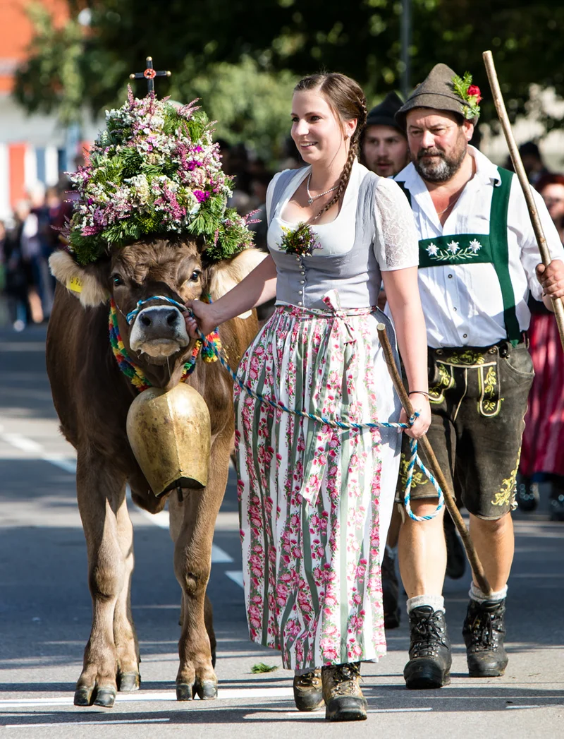 Kranzrinder bei der Viehscheid in Pfronten mit mehreren Personen.