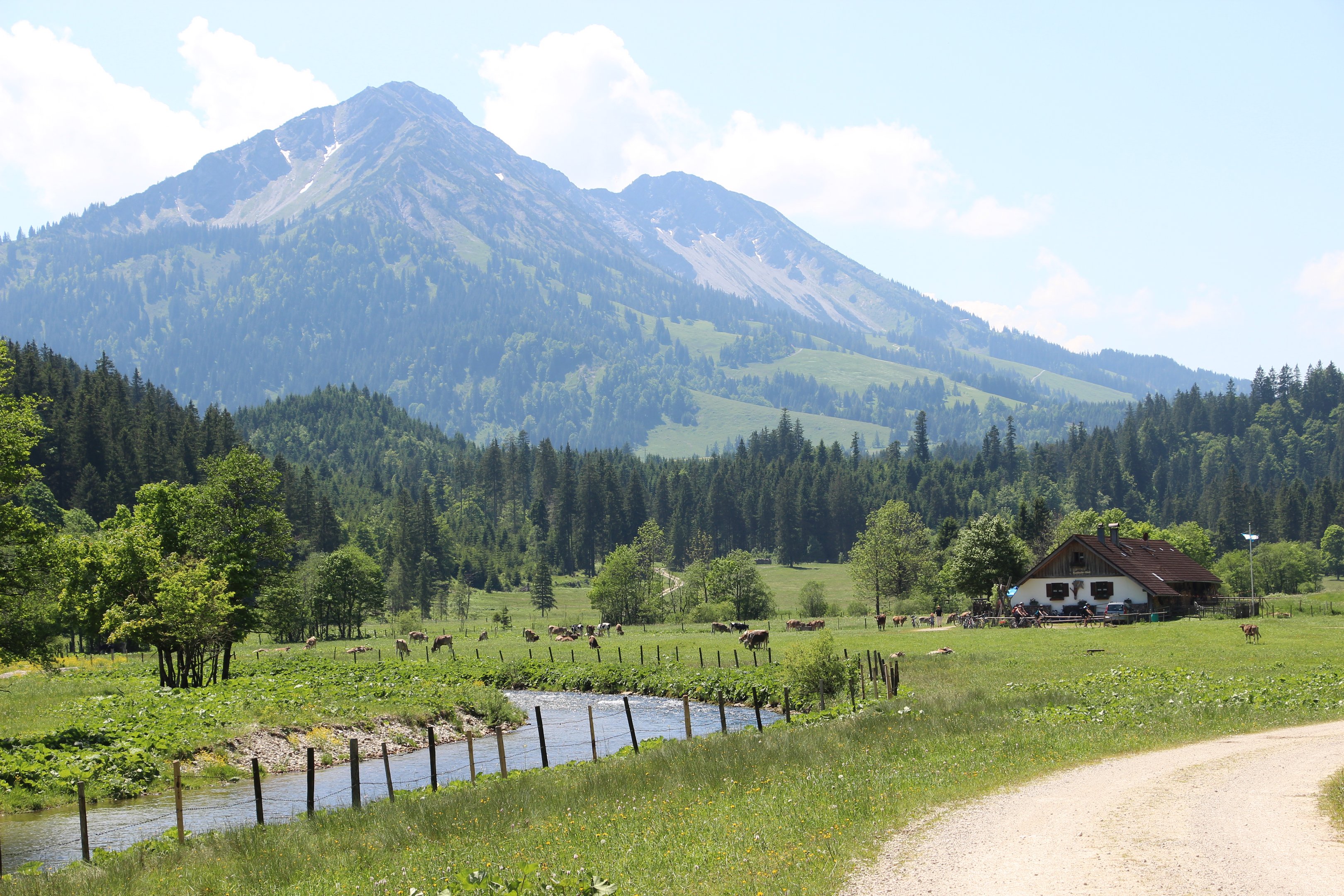 Kalbelehof Alpe im Vilstal » Berghütten & Almen im Allgäu finden