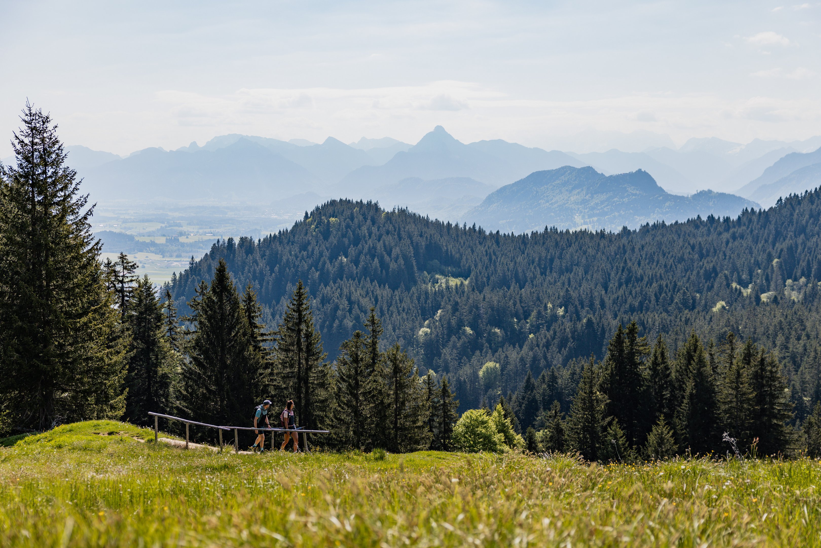Wanderer wandern am Edelsberg
