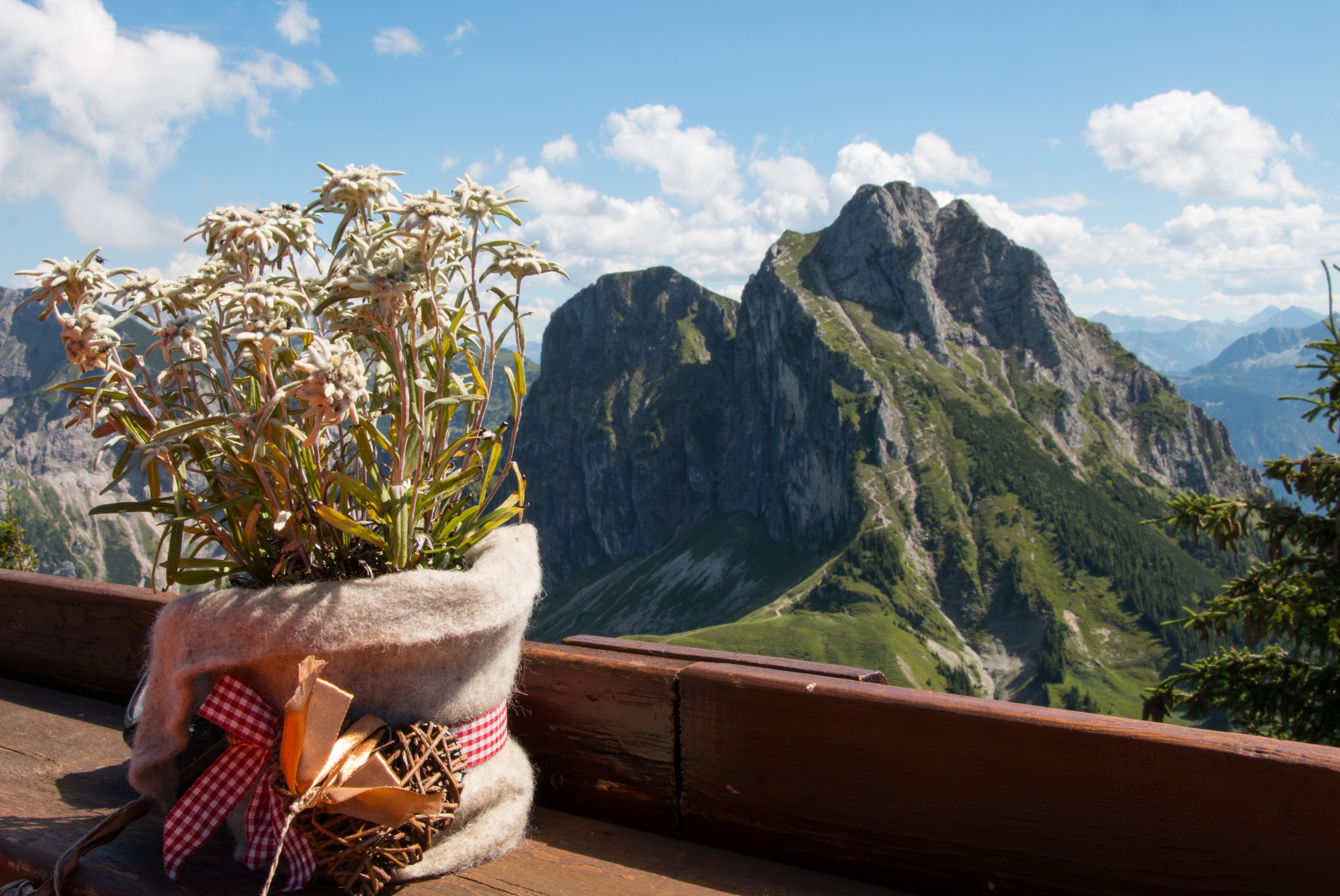 Die Ostlerhütte im Allgäu » Wandertipps zur Hütte in Pfronten!